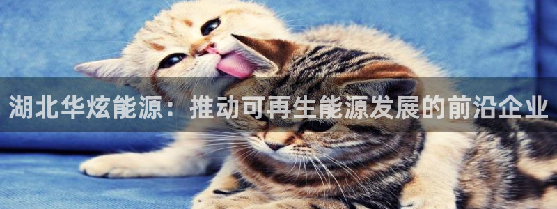 申博官网电脑版下载