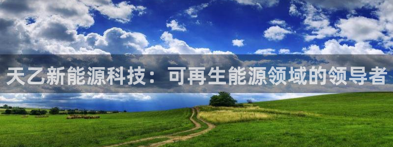 sunbet英语翻译