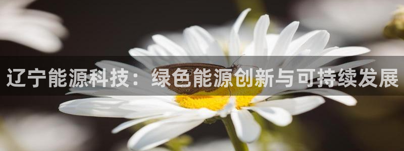sunbet游戏