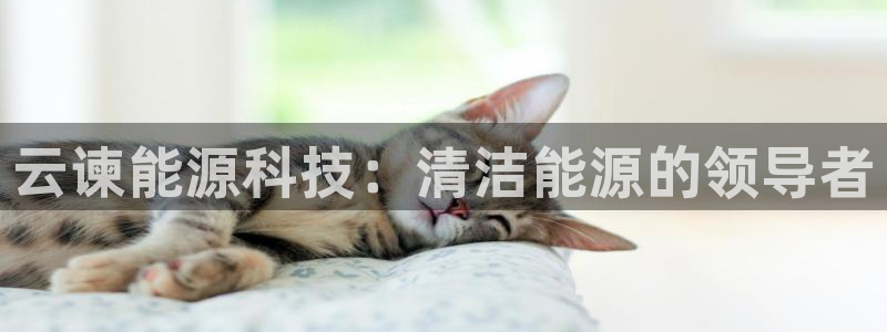 sunbet手机网页版下载