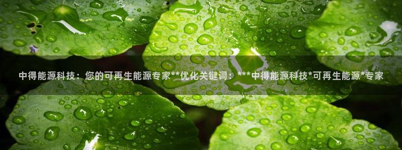 申慱sunbet版app
