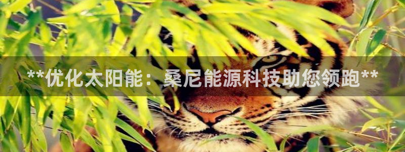 sunbething怎么读