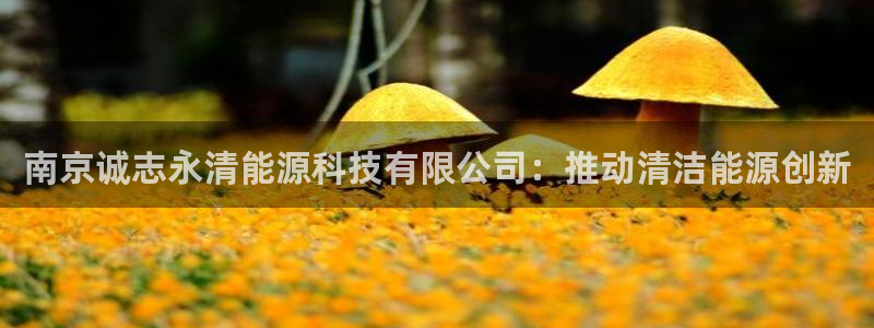 申博手机版官网