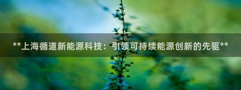 sunbet靠谱吗