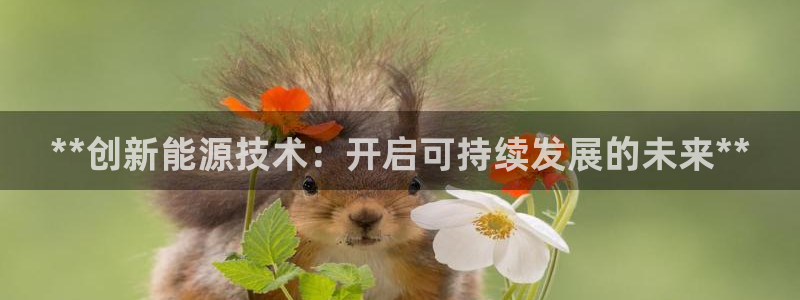 sunbet申搏app下载