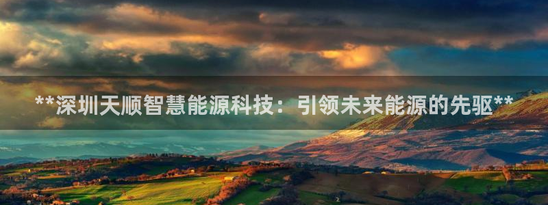 sunbet英语翻译