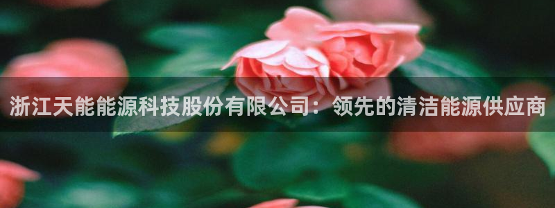 申慱sunbet网站