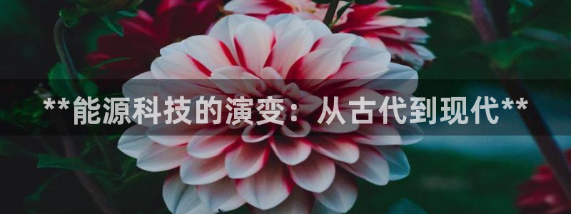 sunbet申搏官方网站