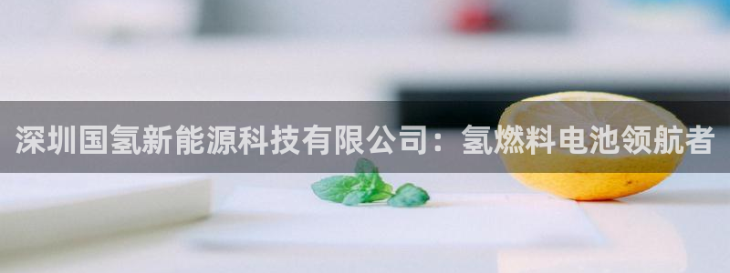 申博手机网站