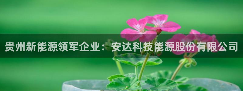 sunbet官网app首页