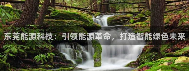 sunbet手机app版
