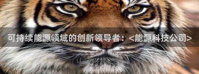 申博手机网站