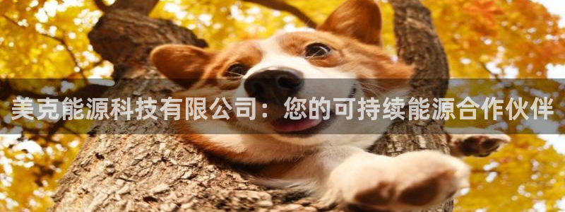 sunbet最新消息