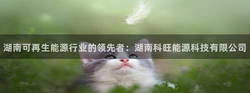 sunbet官网welcome