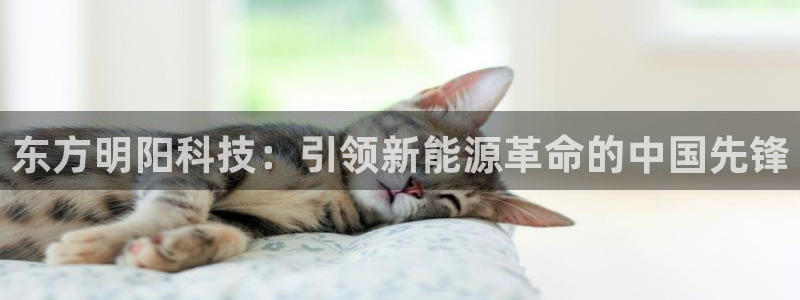 sunbet首页登录入口