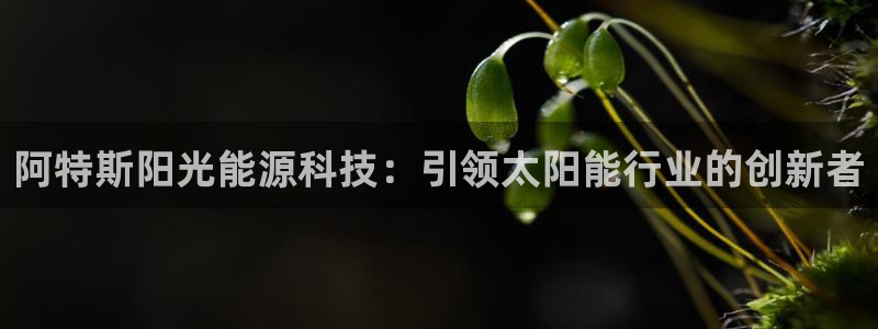 sunbet游戏地址