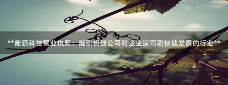 sunbet游戏官网