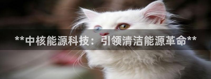 sunbet游戏网