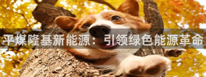 申博官方网址