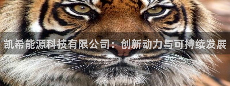 进入sunbet官网手机版登陆
