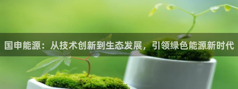 sunbet中文