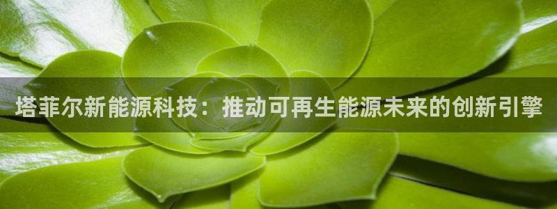 sunbet中文
