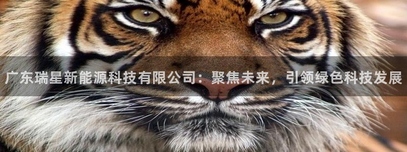 sunbet官网代理下载