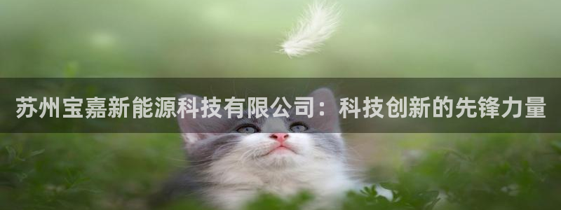 sunbet线上真人手机版