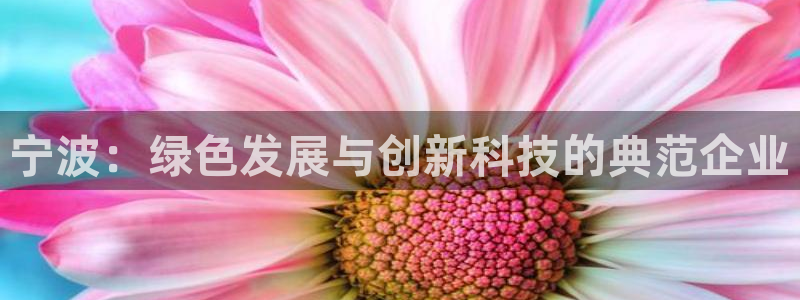 sunbet中文