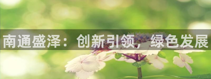 申博官方网站手机版下载