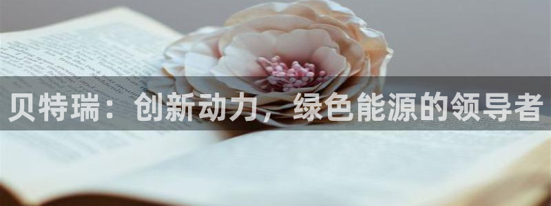 申博官网手机版下载app
