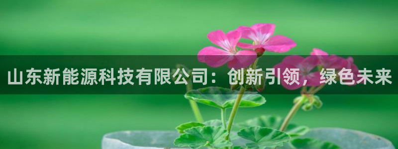 sunbet源码