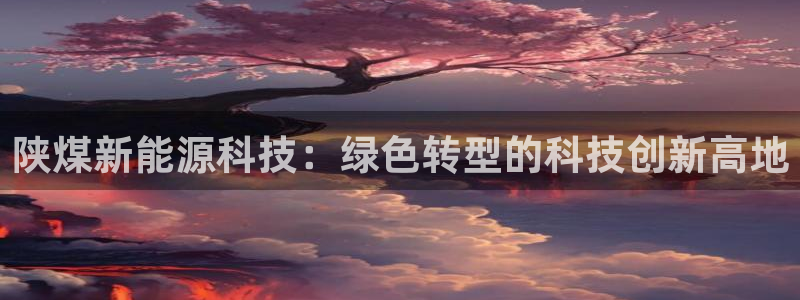 sunbet最新消息