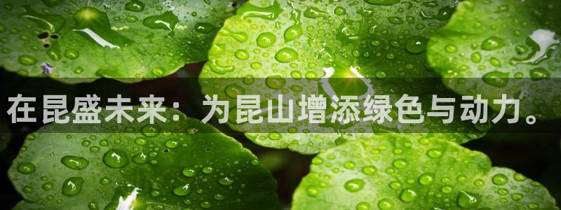 sunbet中文