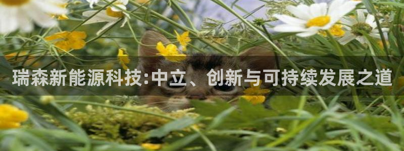 申博官方网址