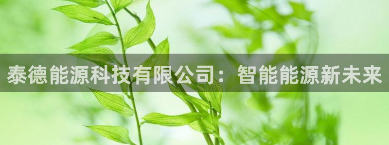 sunbet源码