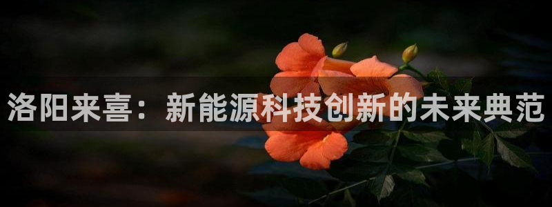 sunbet安卓下载