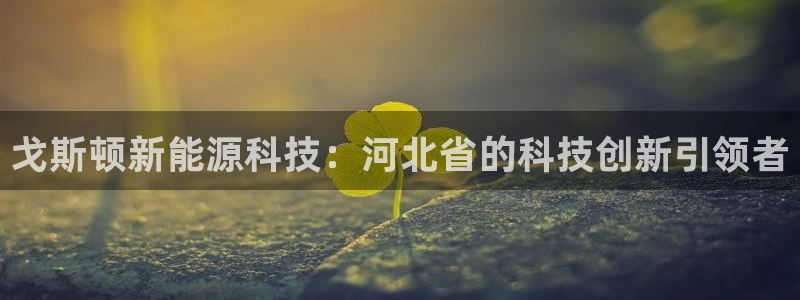 sunbet官网手机版登录