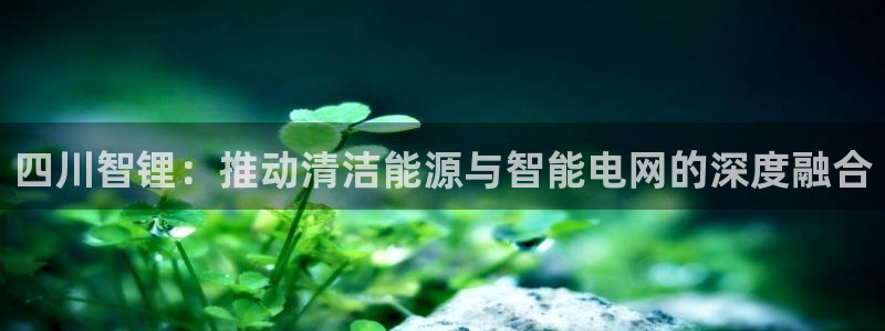 申博官网手机版下载app