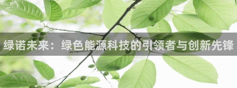 sunbet手机网页版