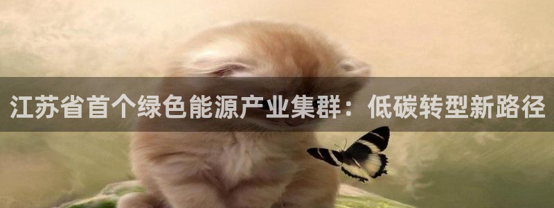 sunbet游戏网