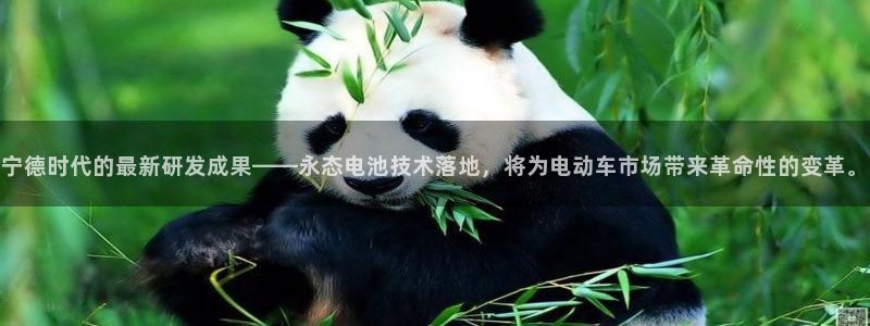 sunbet官网手机版