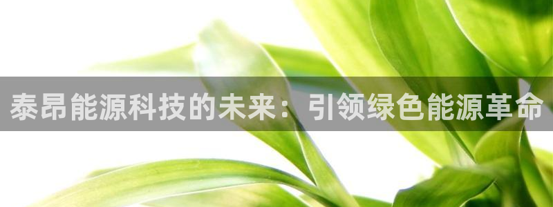 sunbet官网app首页
