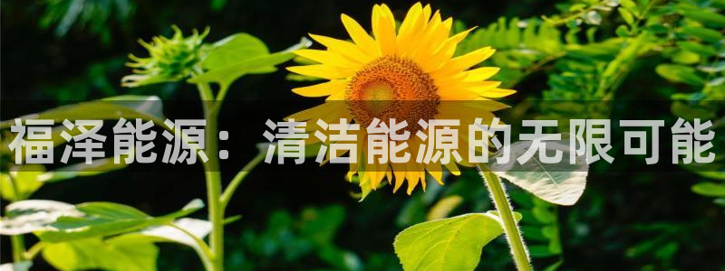 申慱sunbet网站