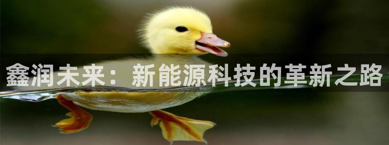 下载申搏sunbet并安装app