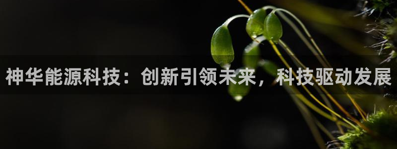 申博app下载