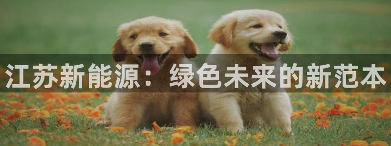 申慱sunbet网站