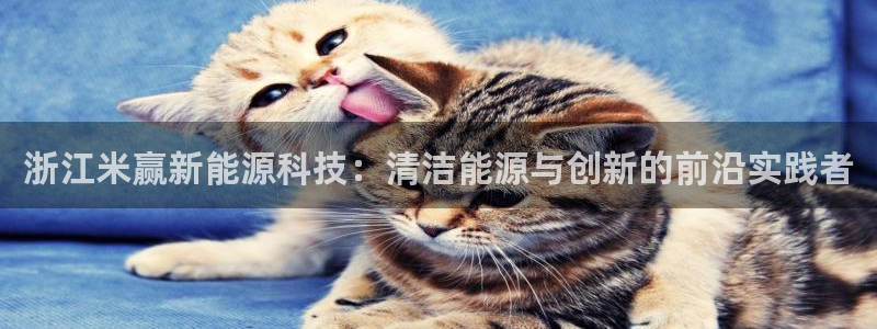 申博官方网站手机版下载