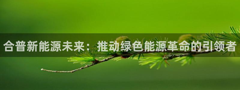 sunbet申搏平台
