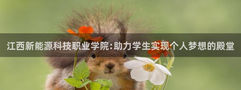 sunbet最新登陆